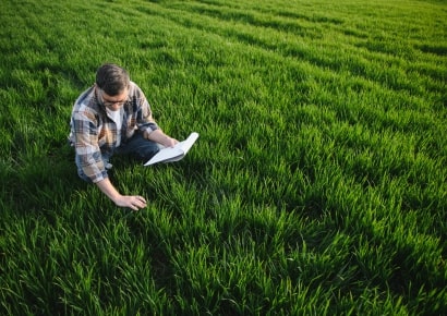 Khung cảnh nông trại 1