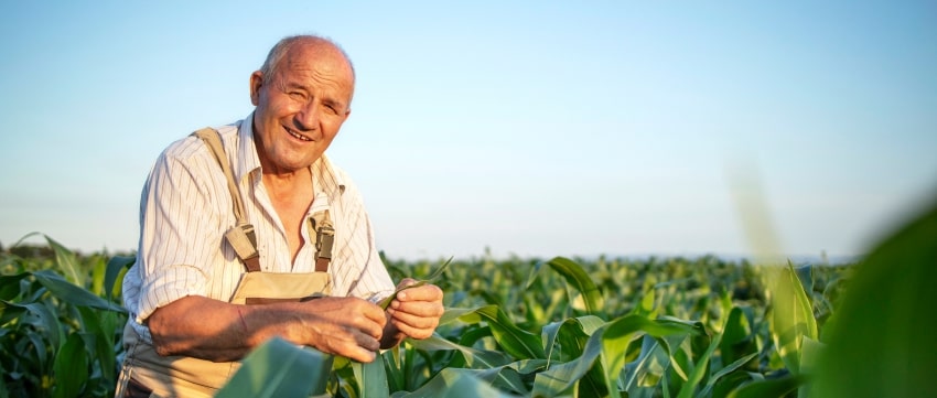 Khung cảnh nông trại 3